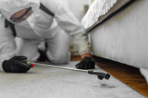 Professional Cockroach Control technician working in Sturgeon Bay, WI